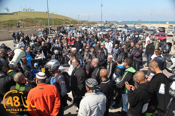 iste3dadat3j (6).jpg